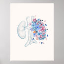 Suche nach nephrologie poster Anatomie