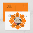 Suche nach niedliche haustiere postkarten Blumenreich