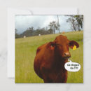 Suche nach vegetarier einladungen Party