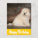 Suche nach chow chow hund postkarten Geburtstag