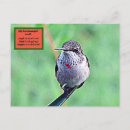 Suche nach hummingbird poster Rubinhaltig