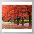 Suche nach roter baum poster Landschaft