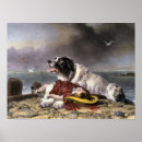 Suche nach landseer poster Haustiere