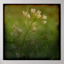 Suche nach taschen poster Blume