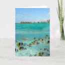 Suche nach haifisch karten Tropisch