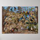 Suche nach del poster Spanisch