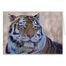Suche nach tigerkarte Katze