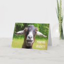 Suche nach goat karten Spaß