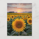 Suche nach naturlandschaft postkarten Sonnenaufgang
