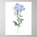 Suche nach qualität poster Blume