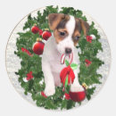 Suche nach jack russells aufkleber Weihnachten