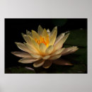 Suche nach spirituality Flower