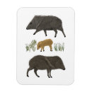 Suche nach niedliches schwein magnete Tiere