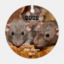 Suche nach rat ornamente Niedlich