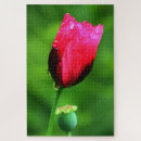 Suche nach mohn puzzle Blätter
