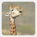 Suche nach afrikanisch aufkleber Giraffe
