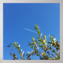 Suche nach grünes flugzeug poster Weiß