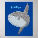 Suche nach sonnenfisch poster Mola