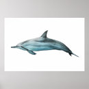 Suche nach delfin poster Wal