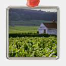 Suche nach weinberg ornamente Ackerland