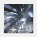 Suche nach staat kalifornien magnete California