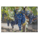 Suche nach weinberg schneidebrettchen Fotografie