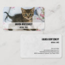 Suche nach tabby visitenkarten Foto