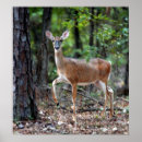 Suche nach warnungen poster Foto