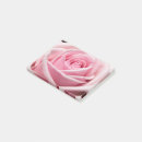 Suche nach pinkie Rosa