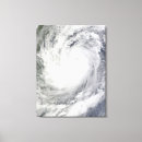 Suche nach spinne leinwandbilder Wirbeln