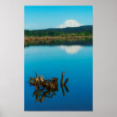 Suche nach hecke poster Bäume