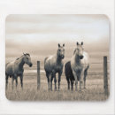 Suche nach prarie mousepads Pferd