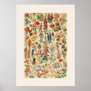 Suche nach flechten poster Blume