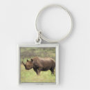 Suche nach nashörner schlüsselanhänger Natur