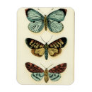 Suche nach schmetterlinge magnete Tiere