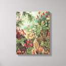 Suche nach exotische leinwandbilder Pflanze