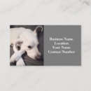 Suche nach lustiger visitenkarten Hundeliebhaber