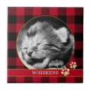 Suche nach kitten fliesen Katze