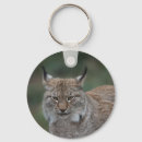 Suche nach lynx schlüsselanhänger Große katze