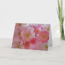 Suche nach cherry blossom karten Frühlingsblumen