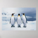 Suche nach warten poster Tier