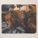 Suche nach irish setter decken Mops