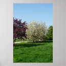 Suche nach hof poster Bäume
