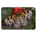 Suche nach kite magnete Natur