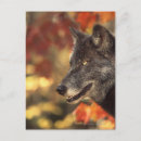Suche nach tierjagd poster Säugetier