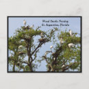 Suche nach wilde tiere postkarten Landschaft