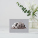 Suche nach mops kleine grußkarten Niedlich