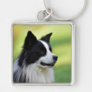 Suche nach collie schlüsselanhänger Pet