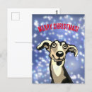 Suche nach weihnachts windhund postkarten Hunde