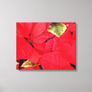 Suche nach poinsettia leinwandbilder Urlaub